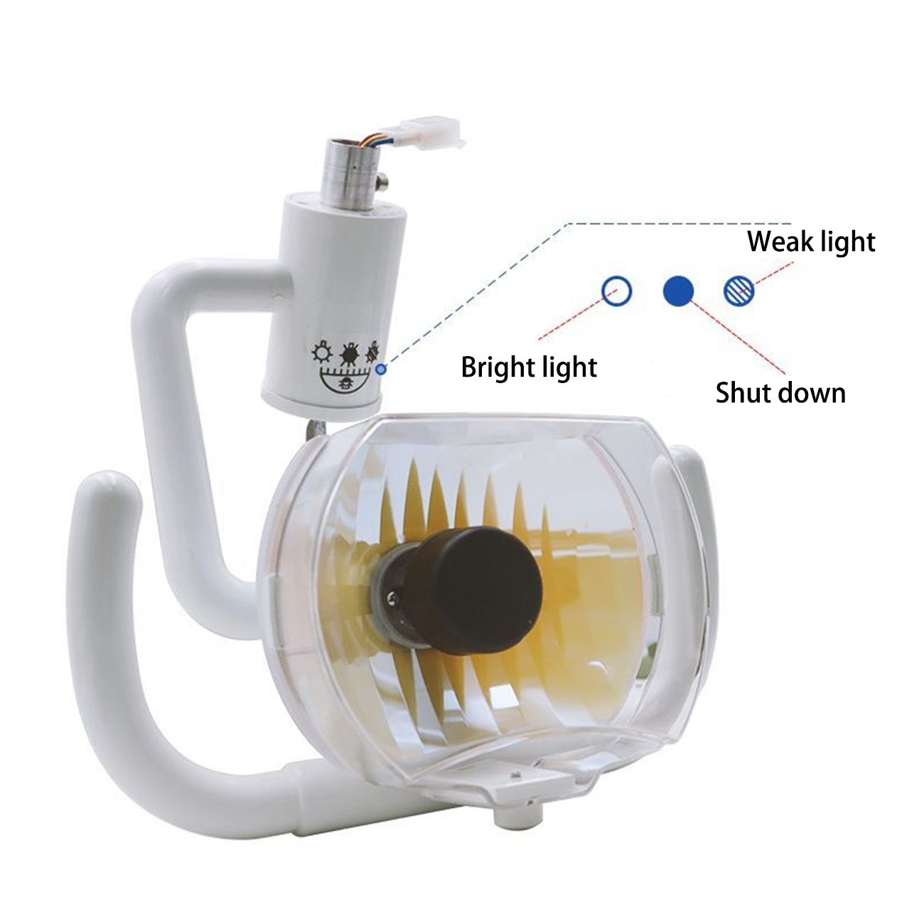 TJDent Dental Square Halogen L - Medical Lab Equipment avaliação e preço